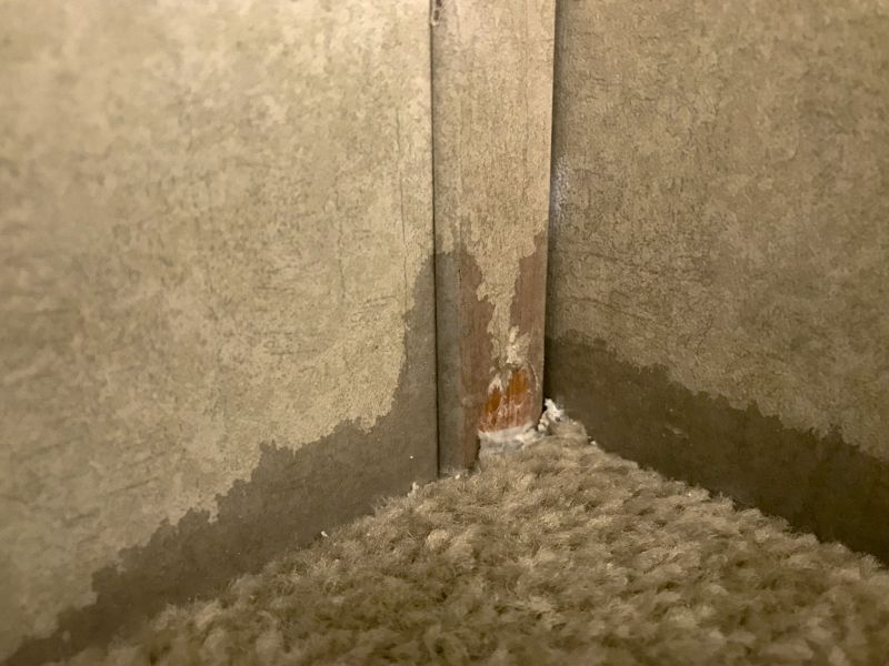 Basement Carpet Repair in Denver County, CO