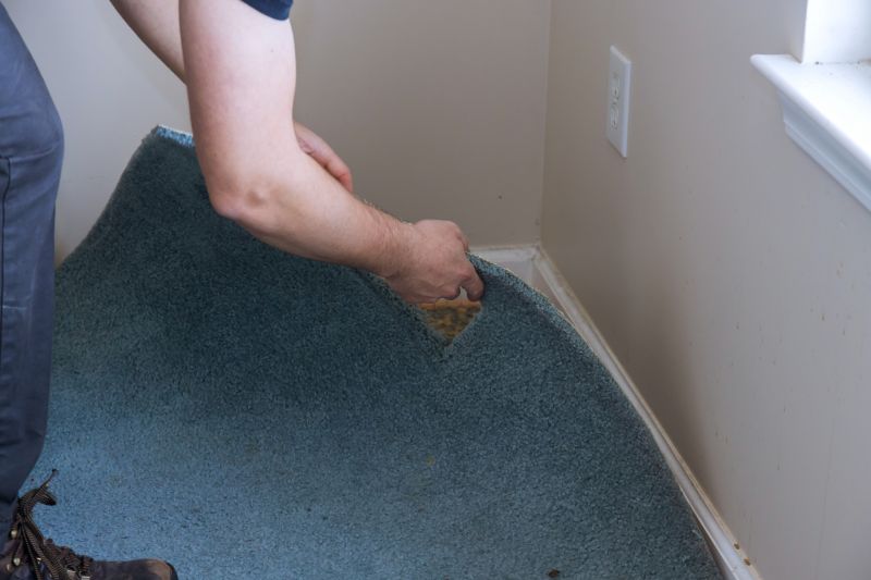 Basement Carpet Stretching in Alpharetta, GA