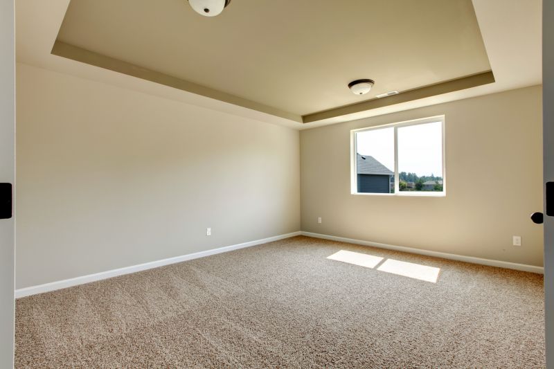 Carpet Foam Replacement in Olathe, KS