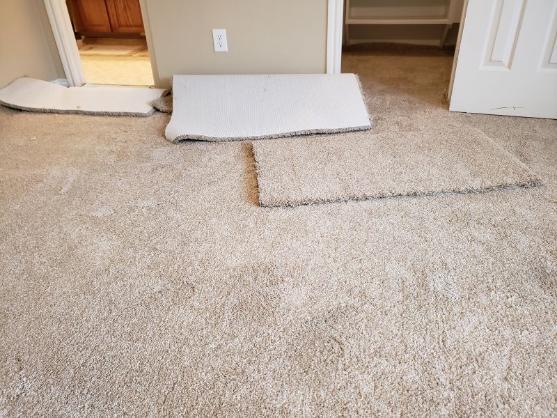 Carpet Restretching in Olathe, KS