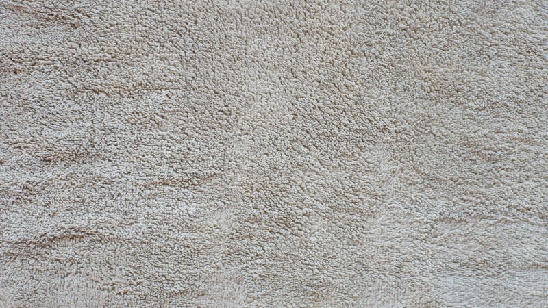 Initial Carpet Wrinkle