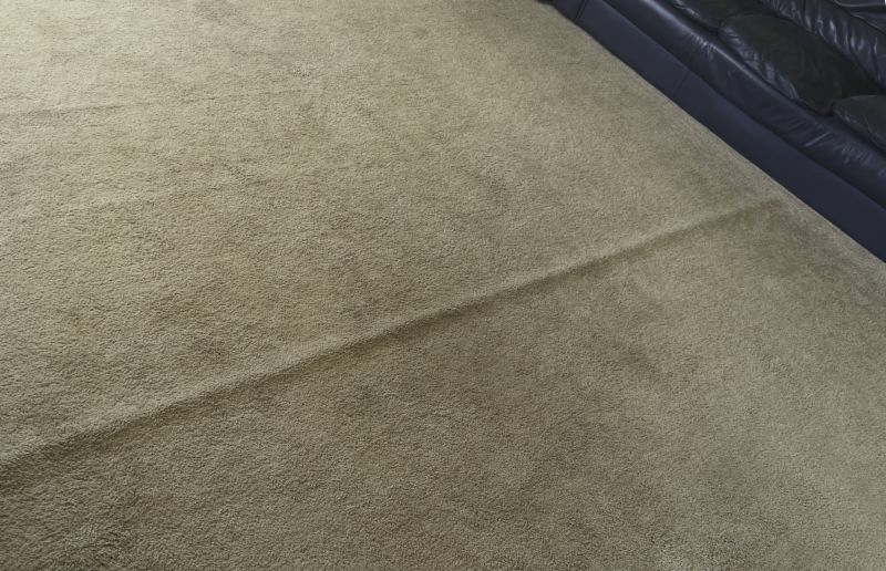 Carpet Condition