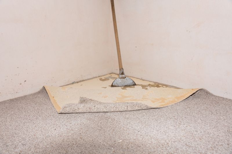 Doorway Carpet Repair in Littleton, CO