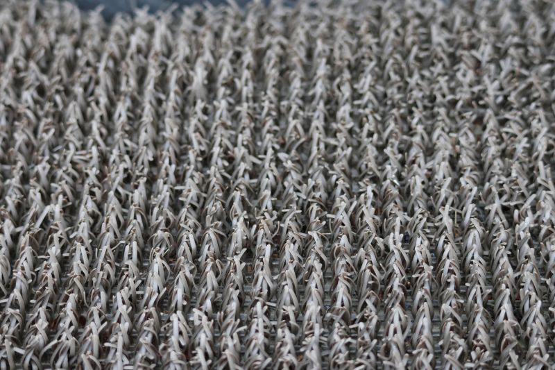 Residential Carpet Repair in Overland Park, KS