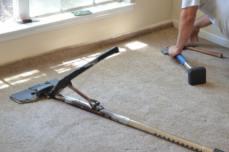 Local Carpet Service Providers