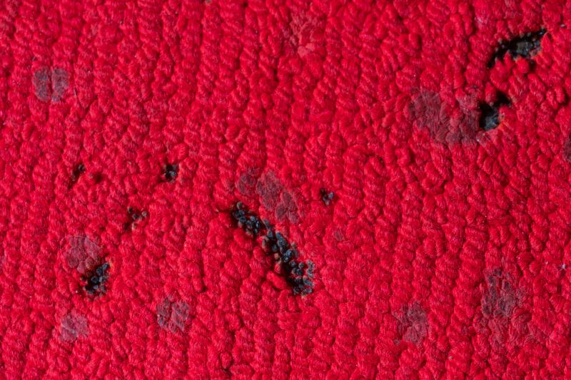 Commercial Carpet Repair in Olathe, KS